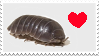I love isopods